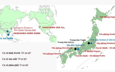 Mạng lưới tập đoàn